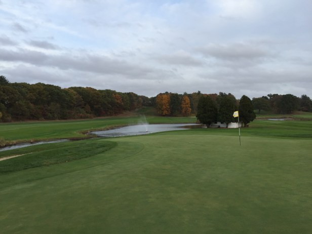 image_545405272040548